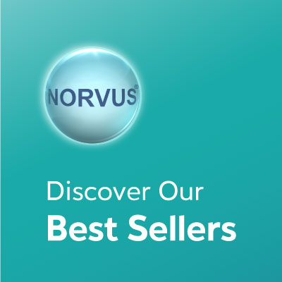 DHP 1 - BANNER 1 - DISCOVER OUR BEST SELLER