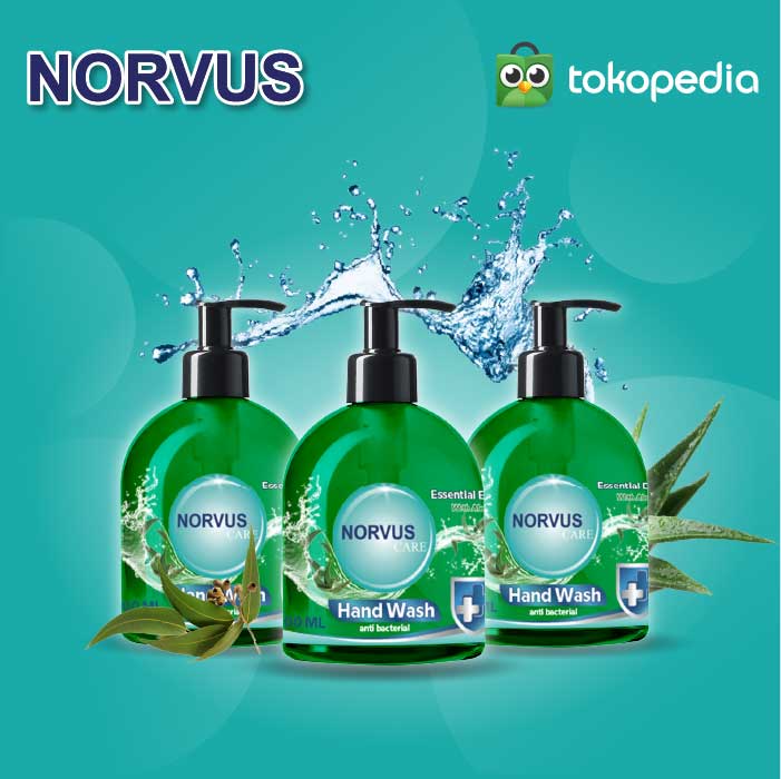 Norvus Hand Wash Essential Eucalyptus 3x 500 ml